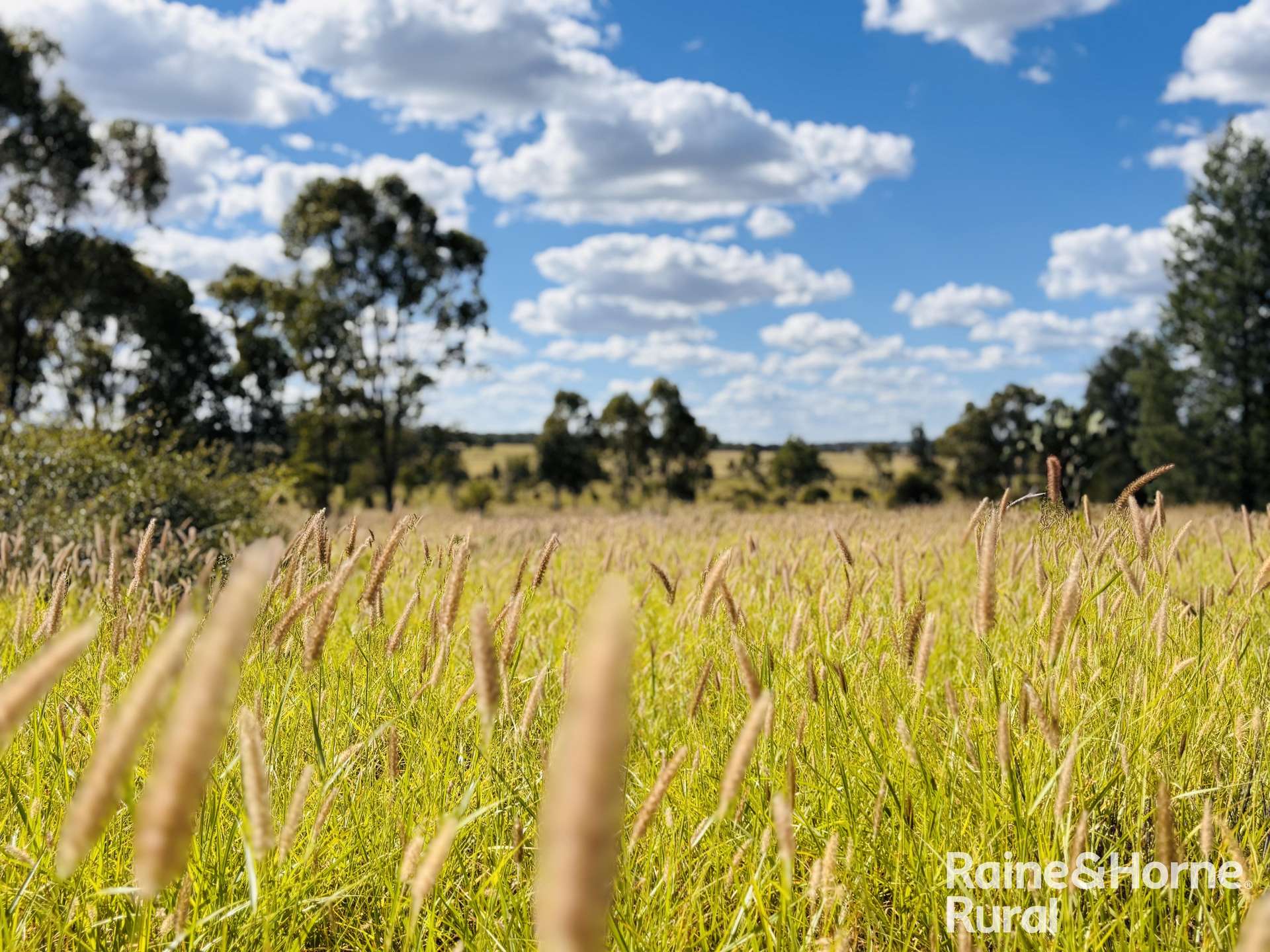640 Carrington Road, Roma Auction by Farmbuy.com - image 12