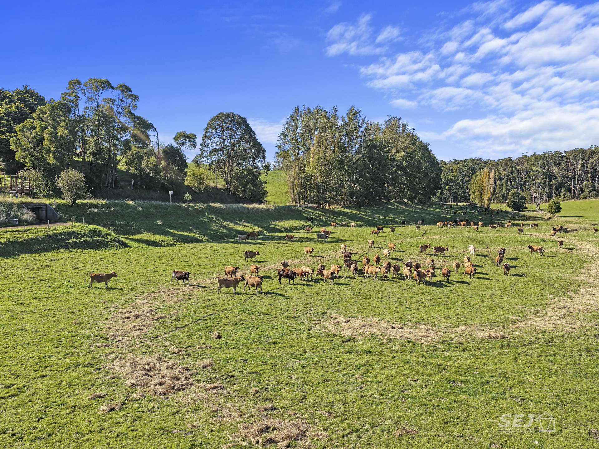 475 Limonite Road, Boolarra South For Sale by Farmbuy.com - image 15