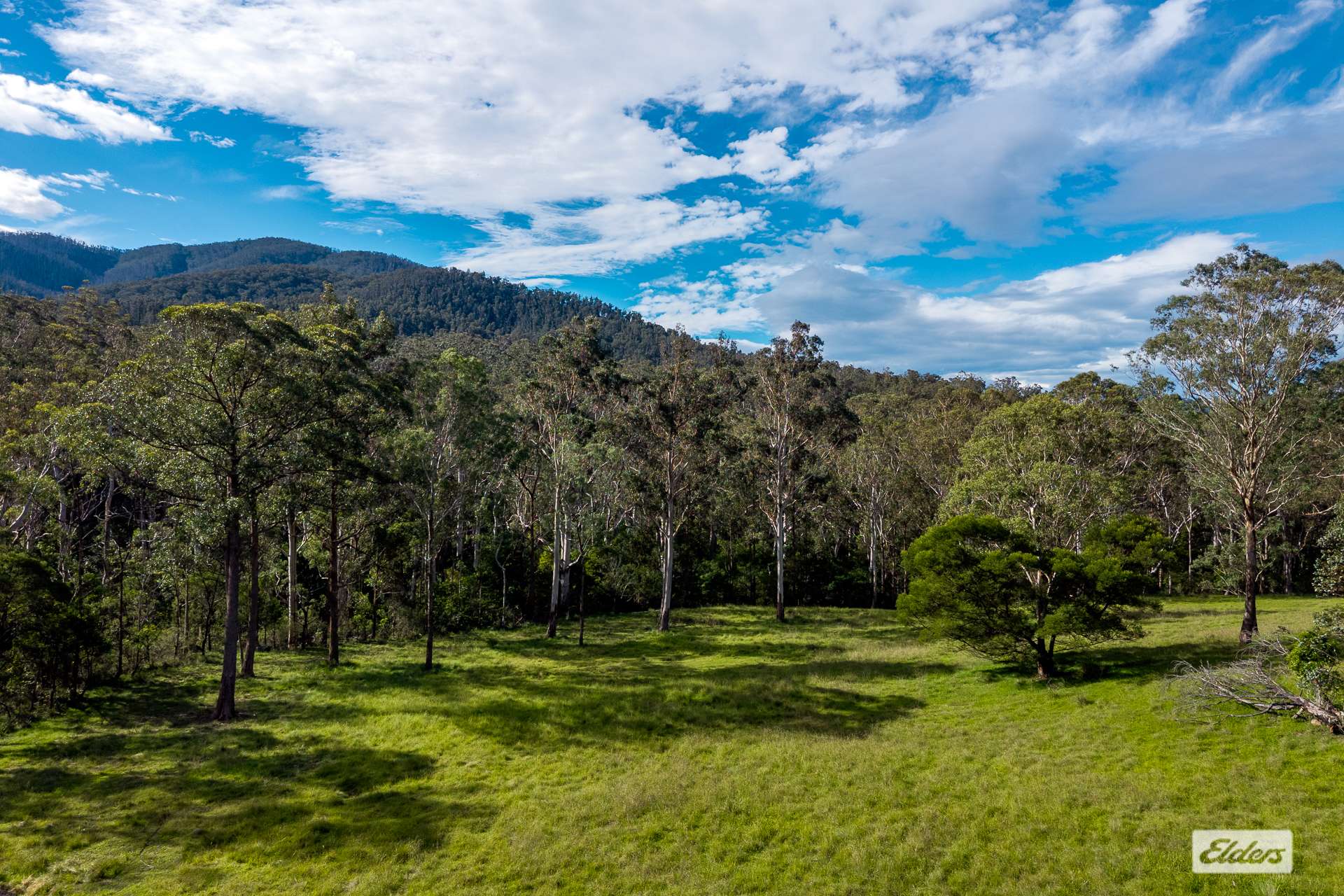 3784 Snowy Mountains Highway, Bemboka For Sale by Farmbuy.com - image 23