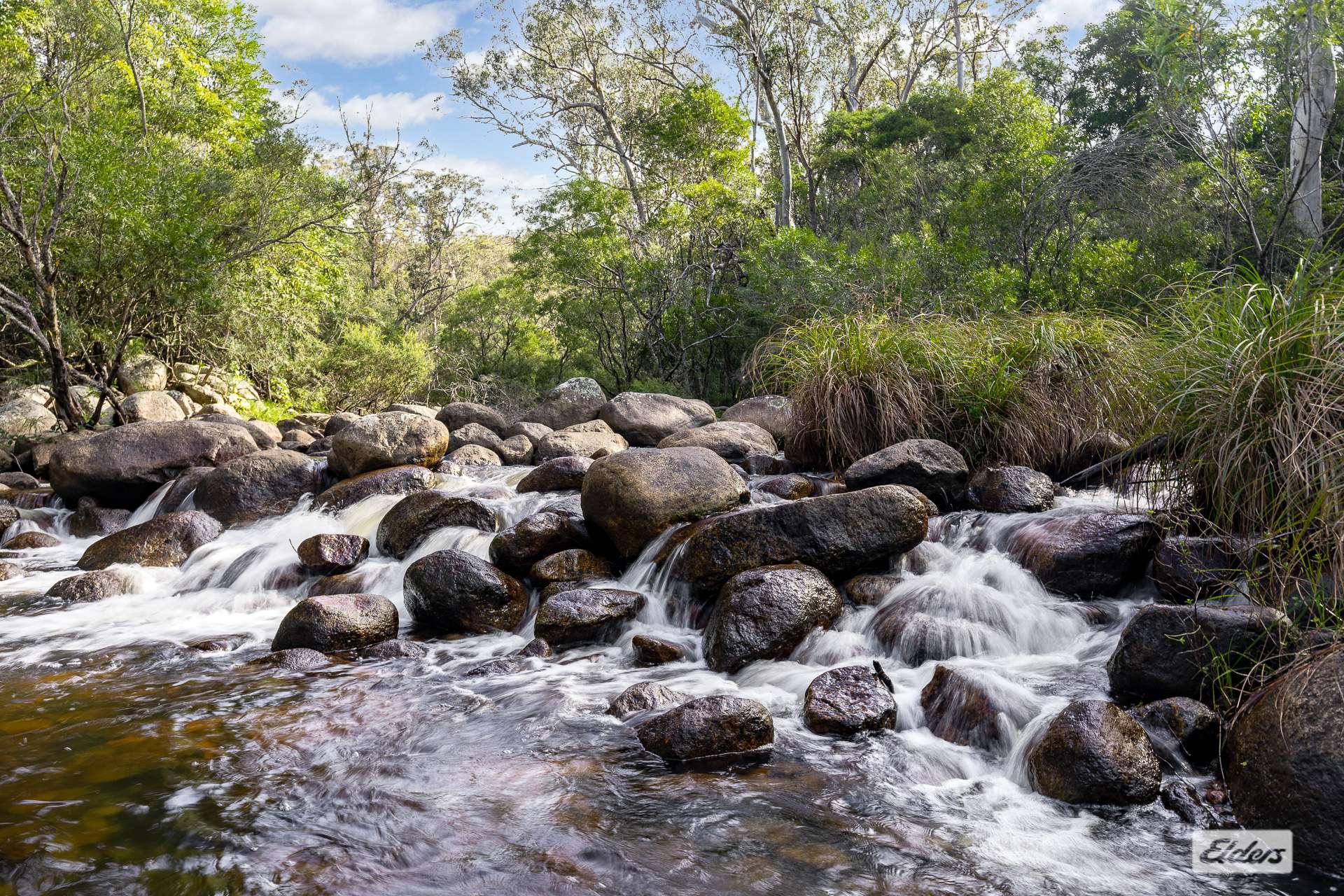 3784 Snowy Mountains Highway, Bemboka For Sale by Farmbuy.com - image 27