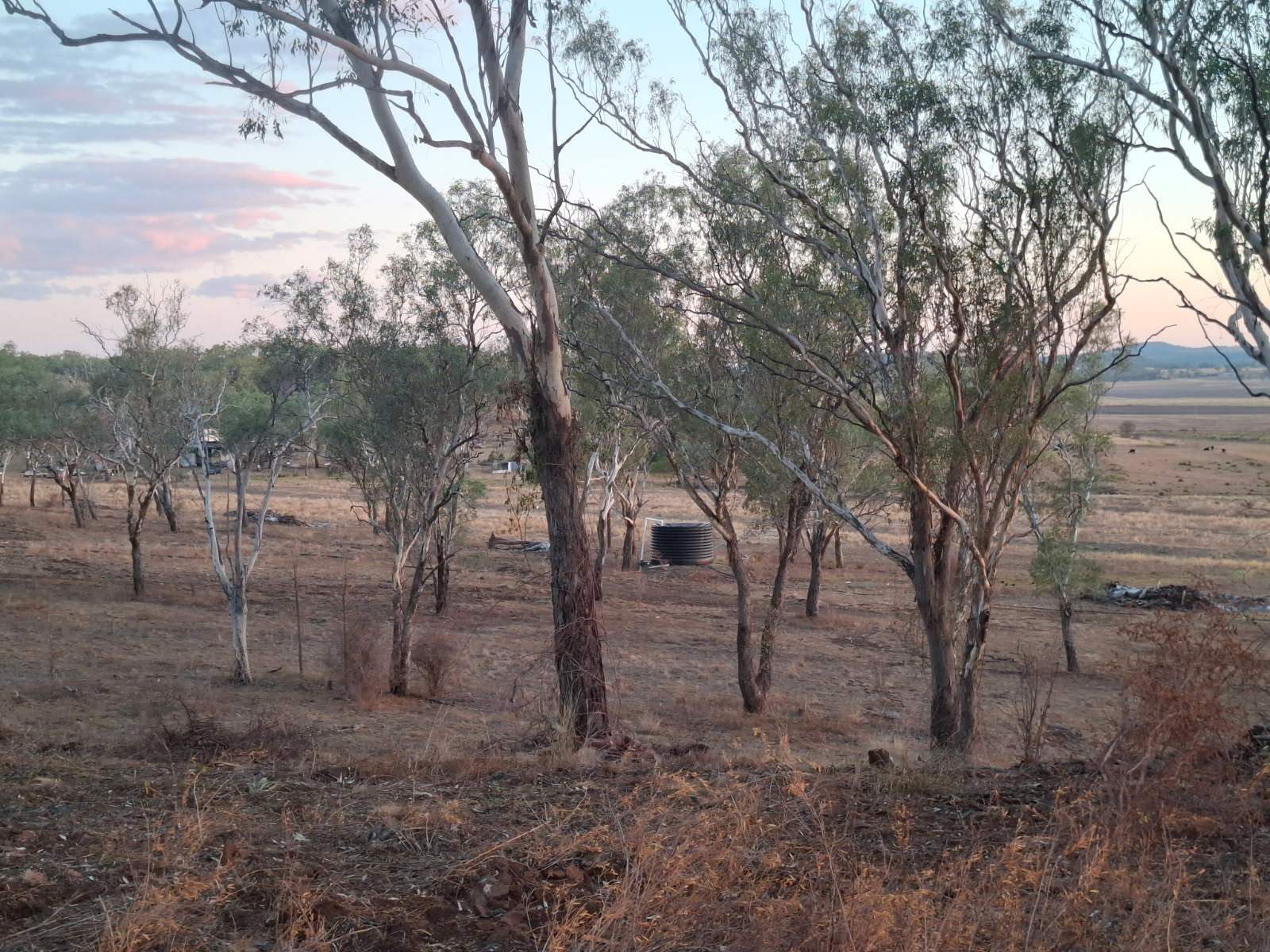 Lot 28 Aubigny - Crosshill Road, Aubigny For Sale by Farmbuy.com - image 23