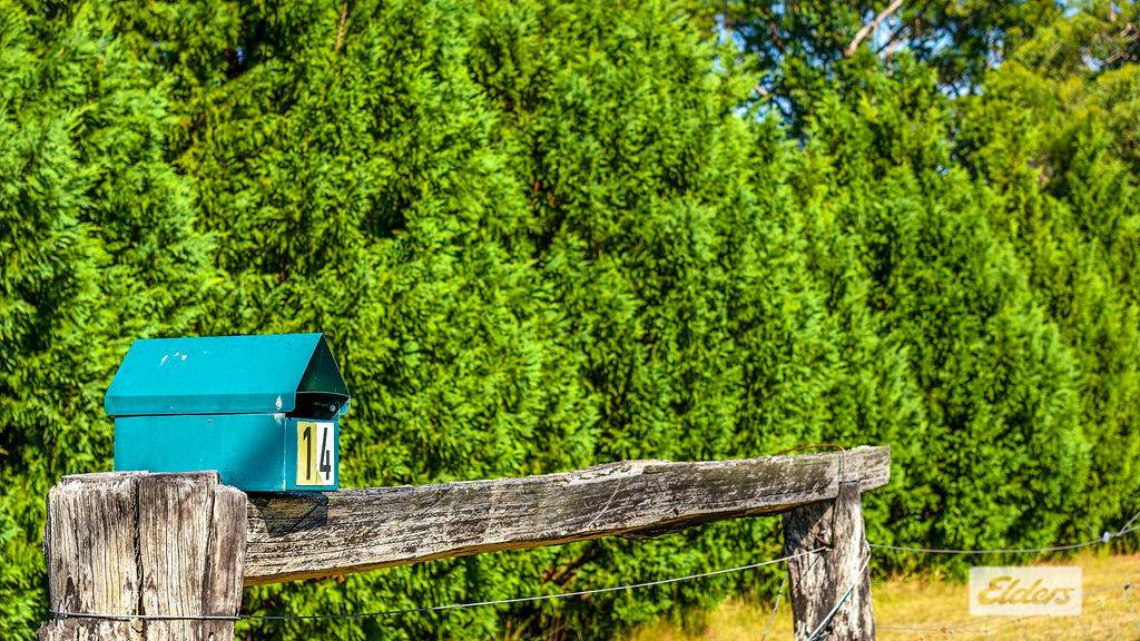 14 Treeview Drive, Rainbow Flat For Sale by Farmbuy.com - image 3