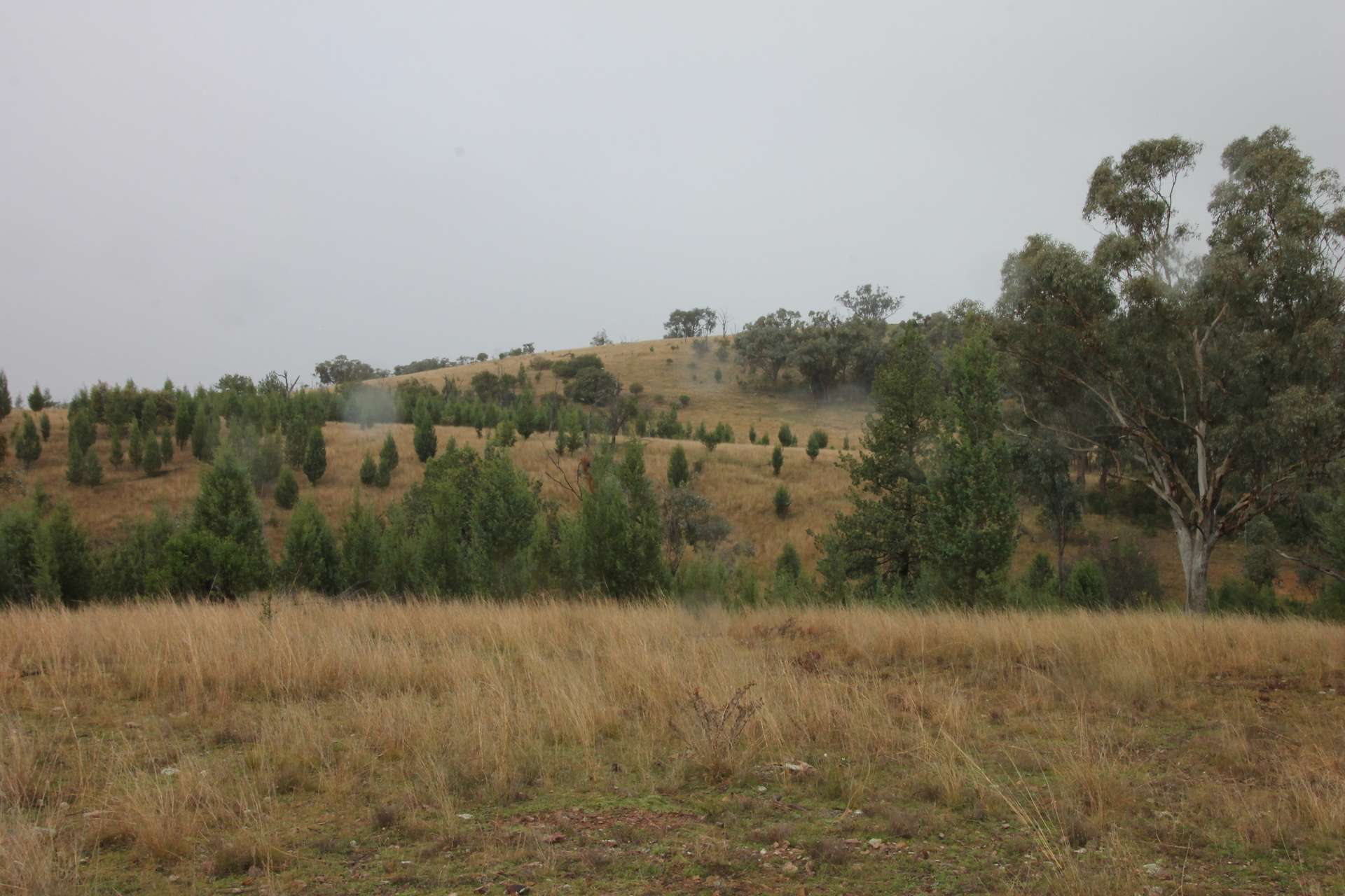 0 Texas Rd, Silver Spur For Sale by Farmbuy.com - image 19