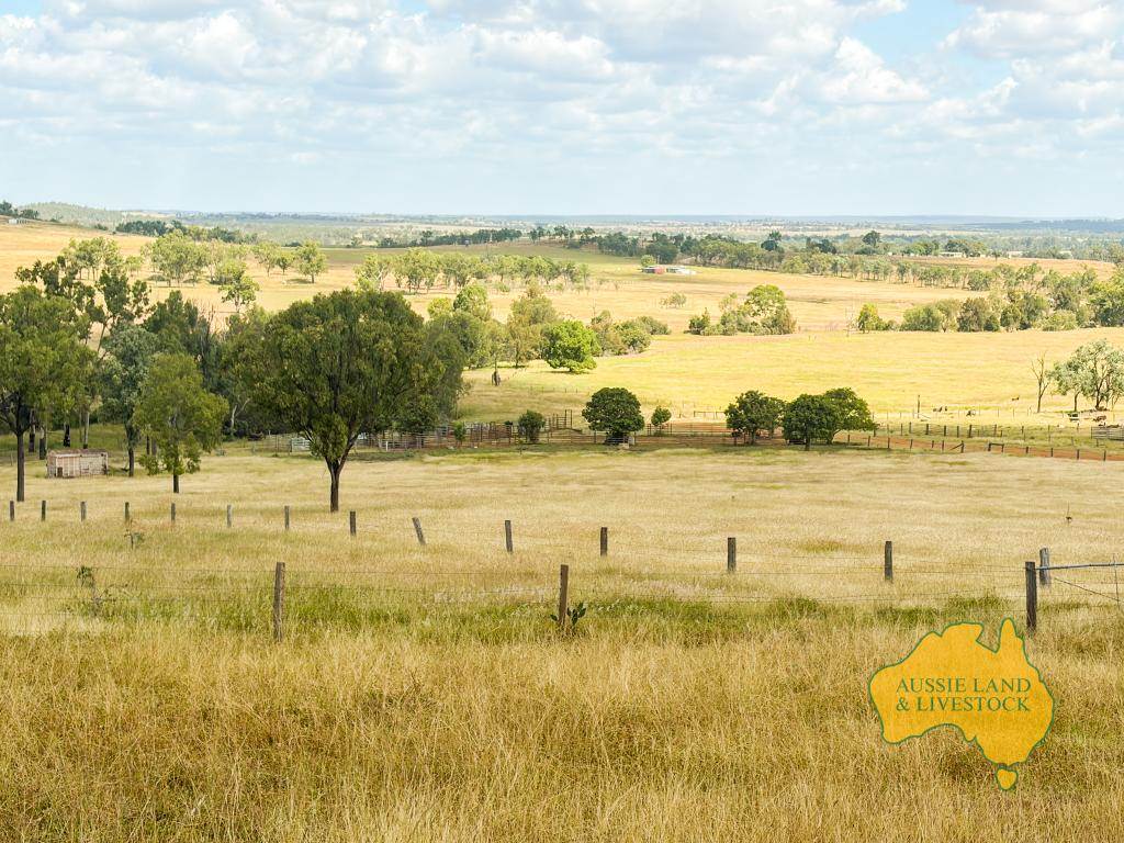 439 PHILPOTT ROAD, Philpott Auction by Farmbuy.com - image 3