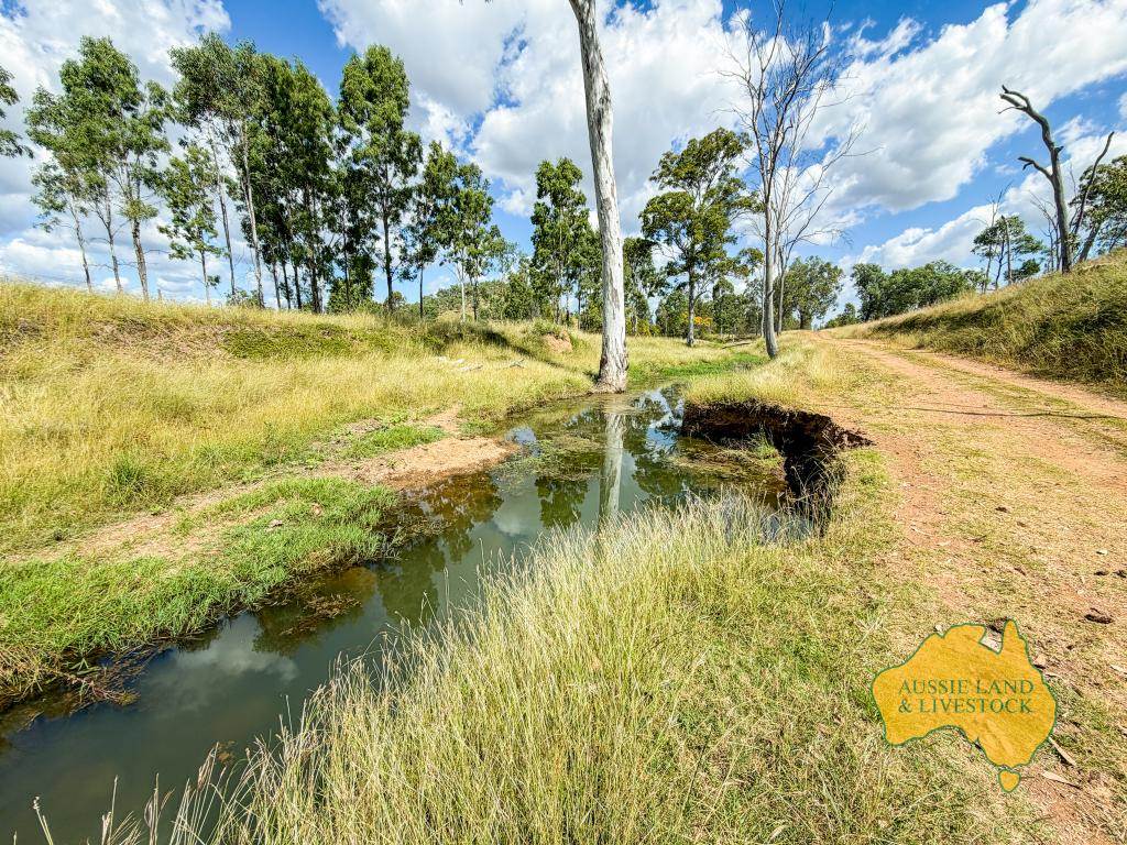 439 PHILPOTT ROAD, Philpott Auction by Farmbuy.com - image 2