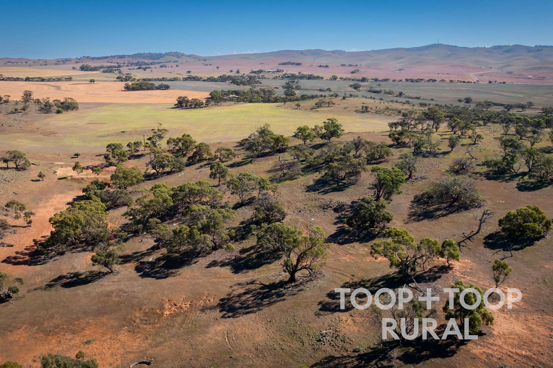 Oaklands Road, Dutton For Sale by Farmbuy.com - image 13