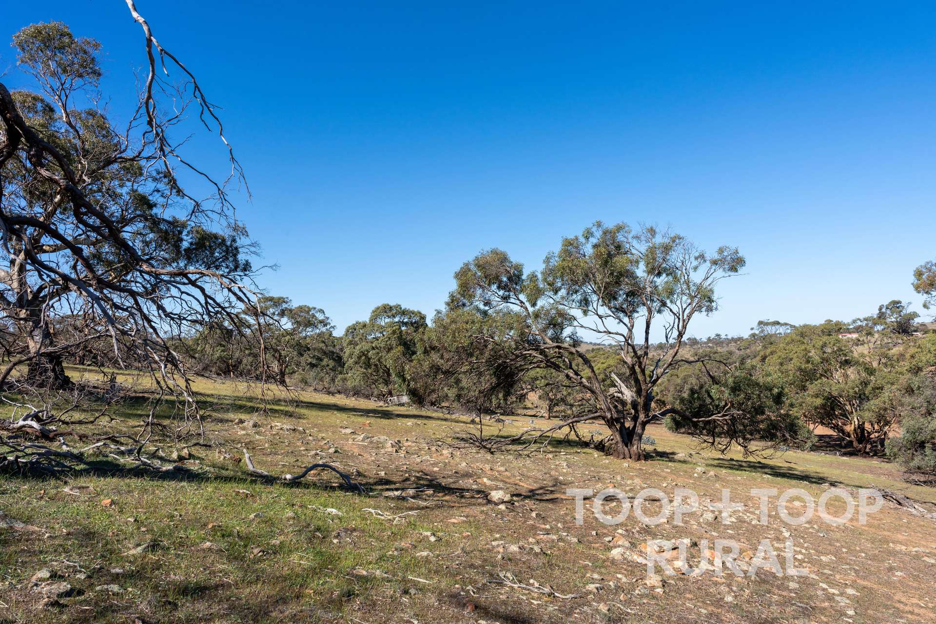Oaklands Road, Dutton For Sale by Farmbuy.com - image 8