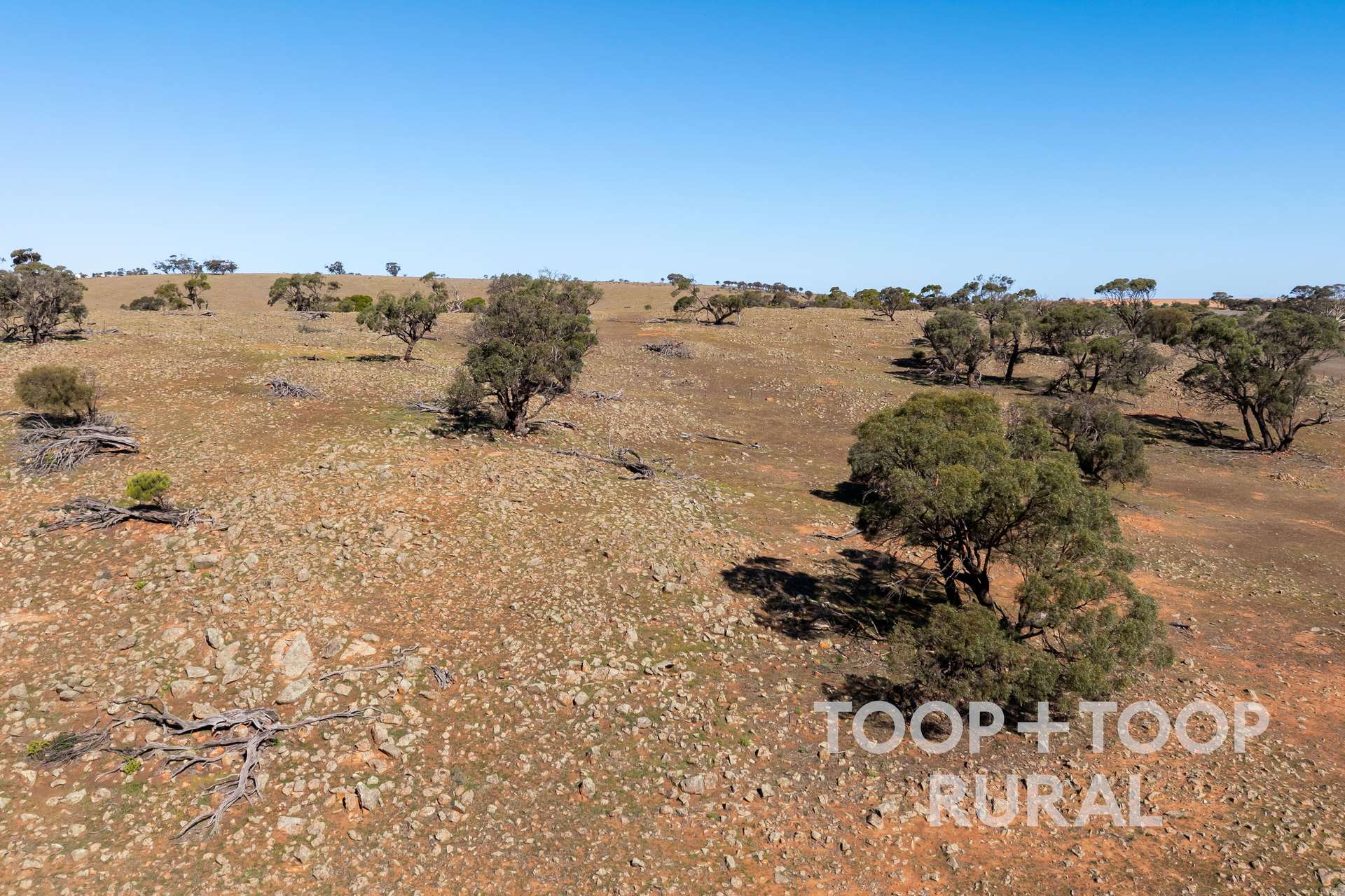 Oaklands Road, Dutton For Sale by Farmbuy.com - image 11