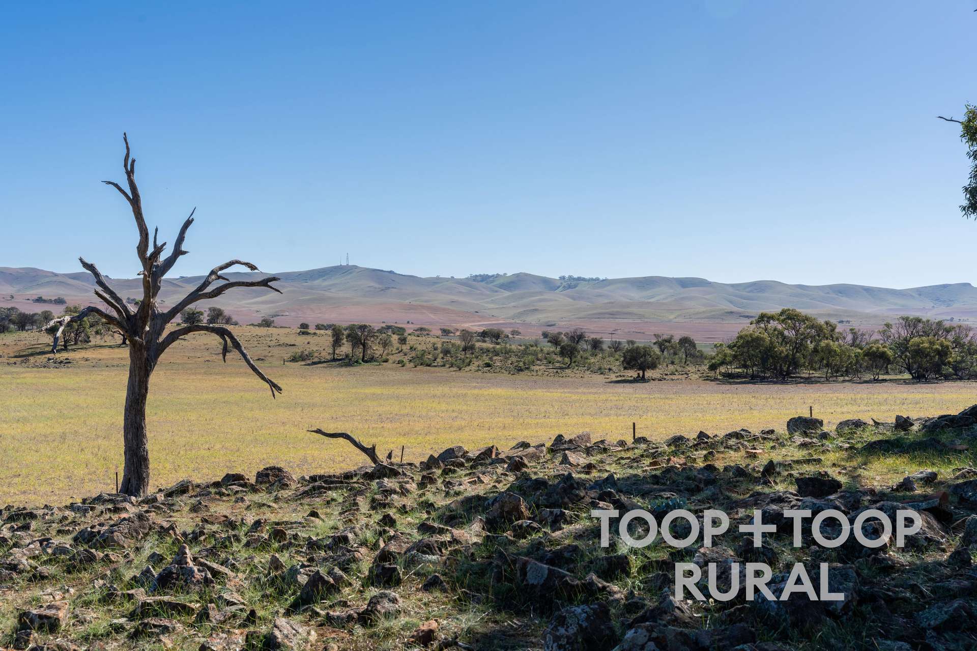 Oaklands Road, Dutton For Sale by Farmbuy.com - image 4