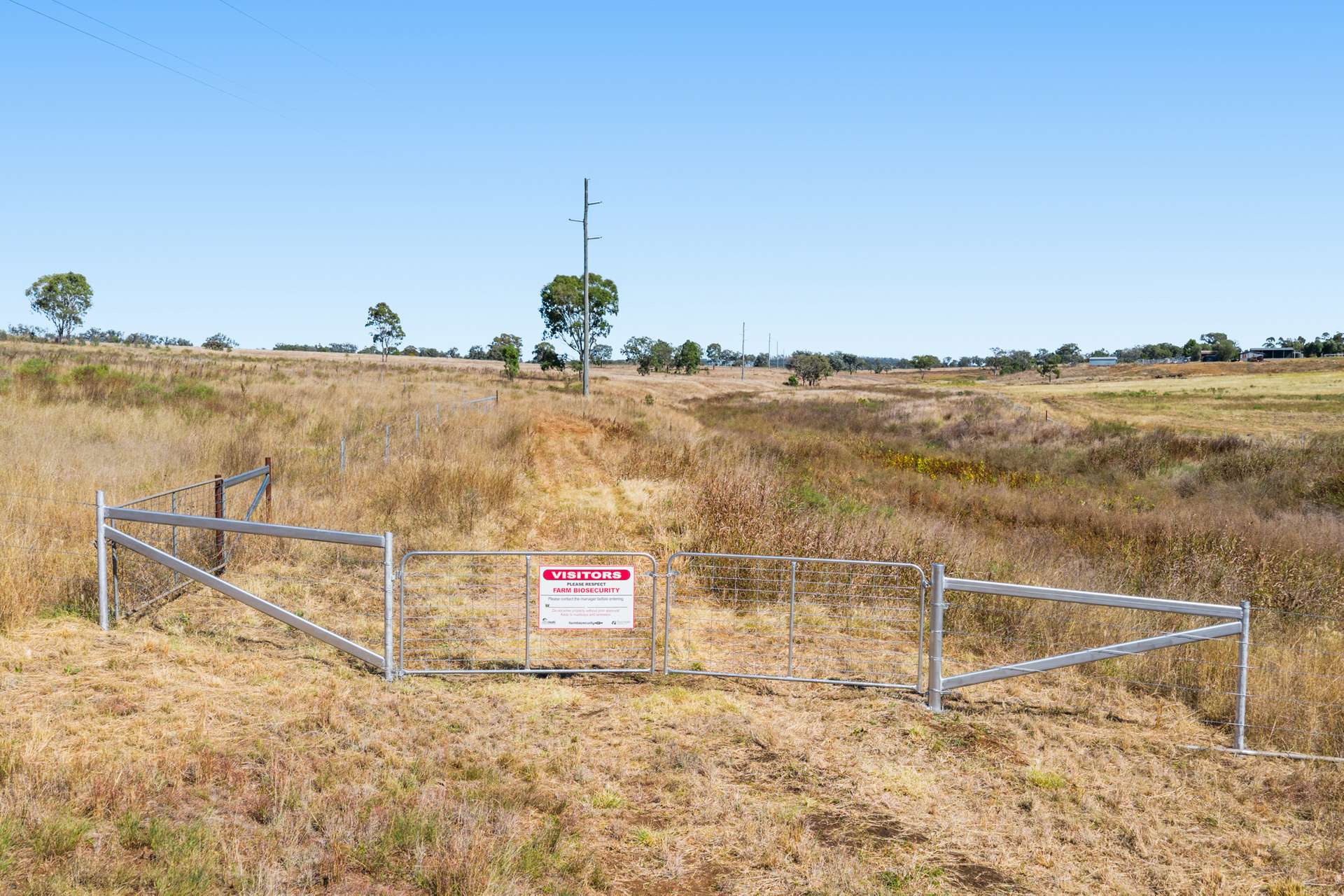 "Springdale" 44 Whittaker Road, Southbrook For Sale by Farmbuy.com - image 8