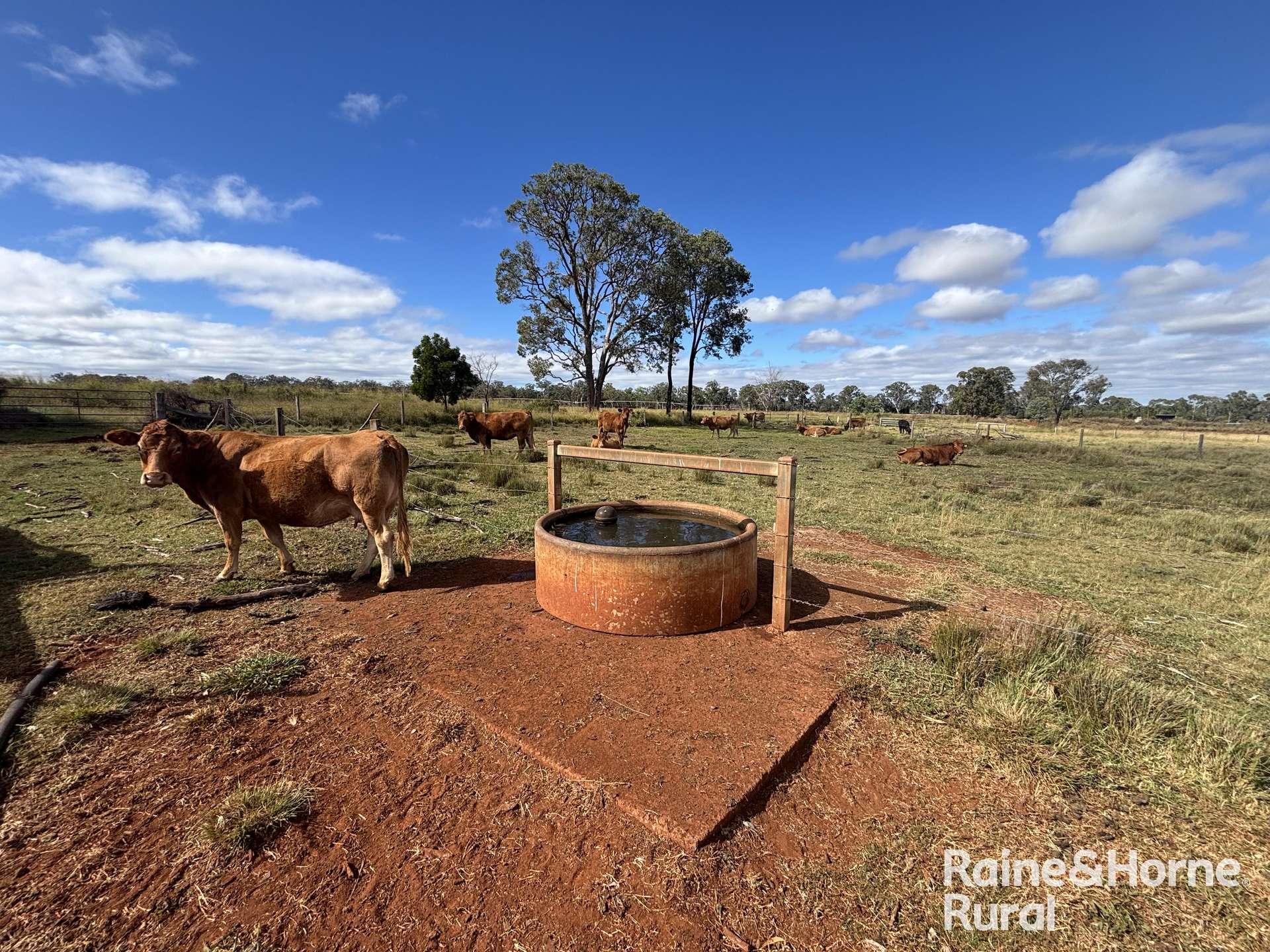 Lot 87 Ogilvys Road, Wooroolin For Sale by Farmbuy.com - image 2