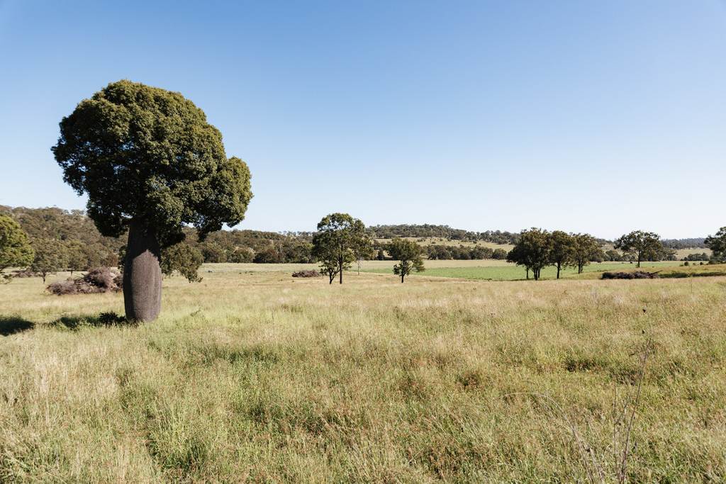414 Red Tank Road, Boyneside QLD 4610