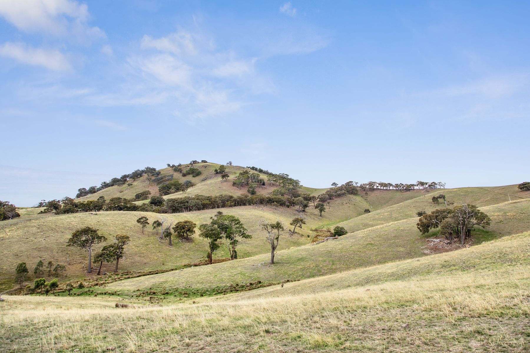 1335 Dairy Flat Road, Tooborac For Sale by Farmbuy.com - image 21