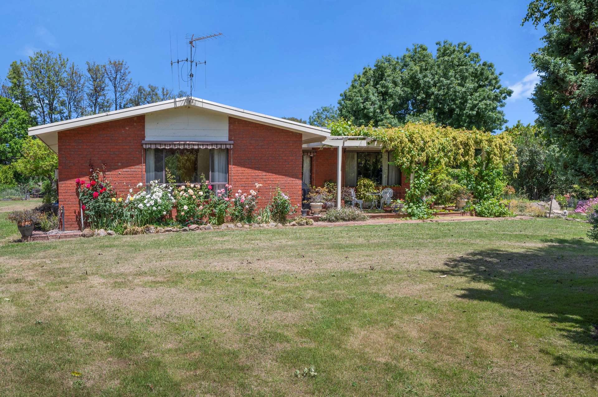 63 Swanpool-Lima Road, Swanpool For Sale by Farmbuy.com - image 3