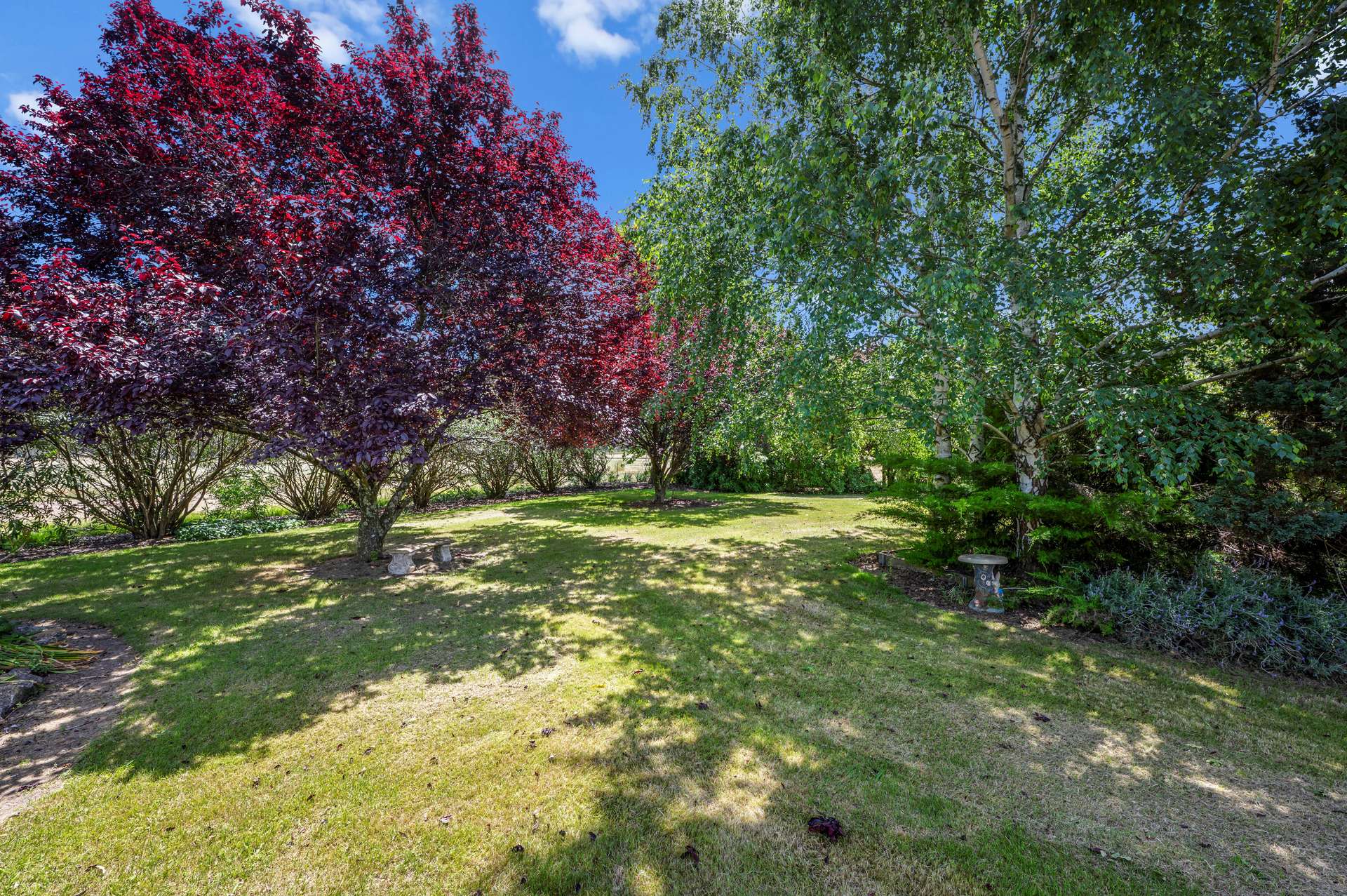 63 Swanpool-Lima Road, Swanpool For Sale by Farmbuy.com - image 14