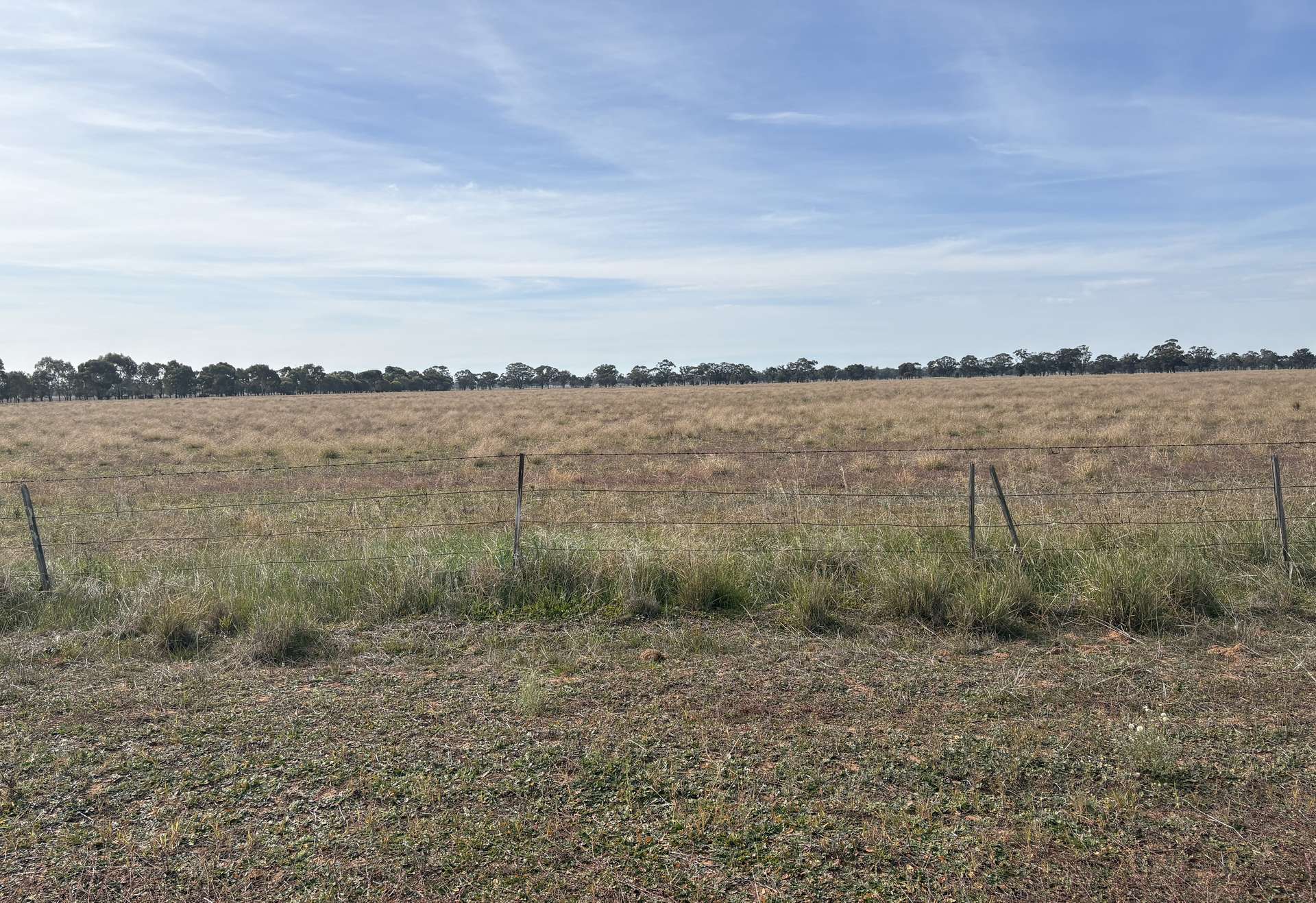 Lot CA, 108 Larsens Road, Drummartin For Sale by Farmbuy.com - image 16