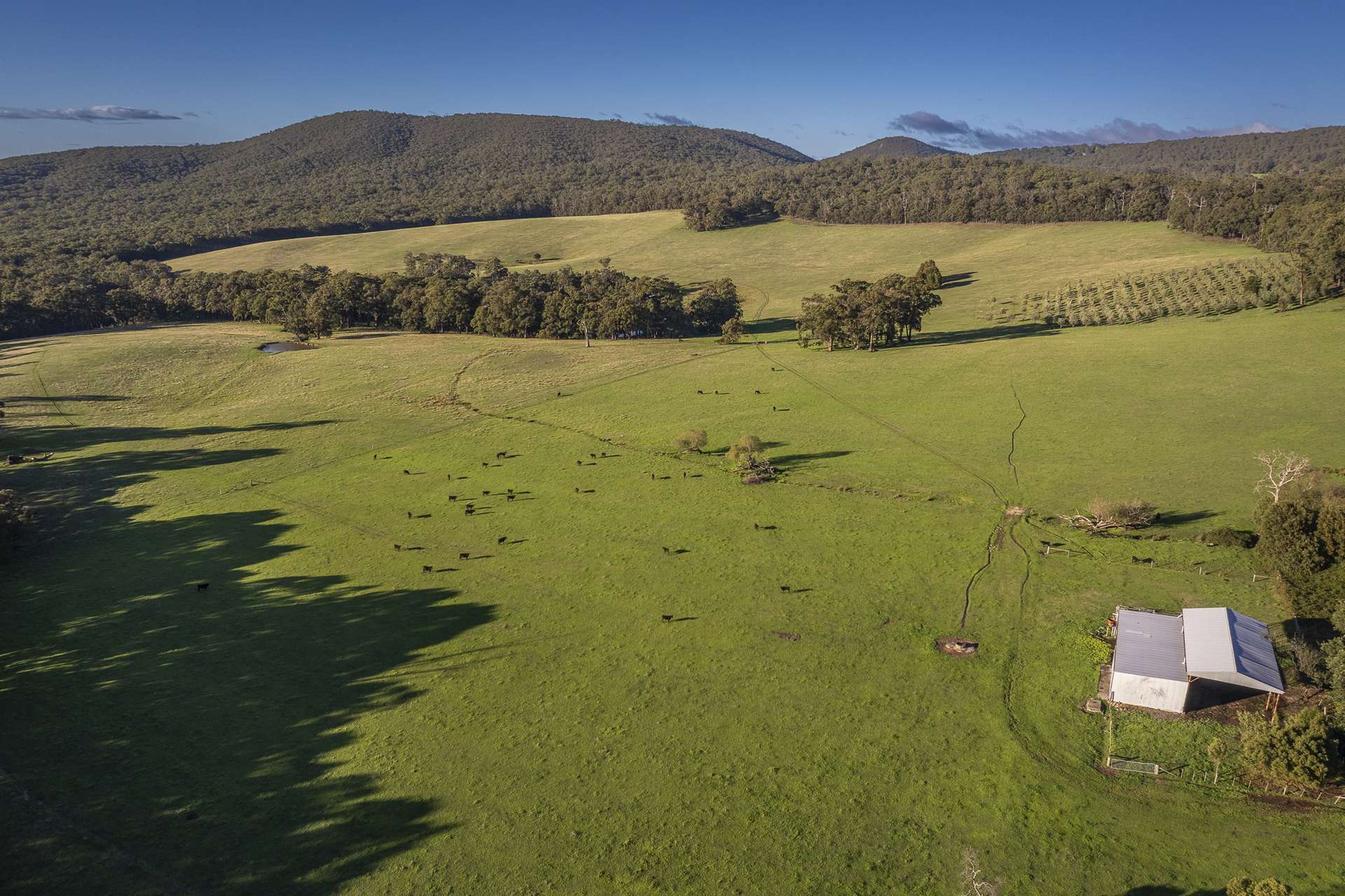 709 Mount Eliza Road, Kerrie For Sale by Farmbuy.com - image 32