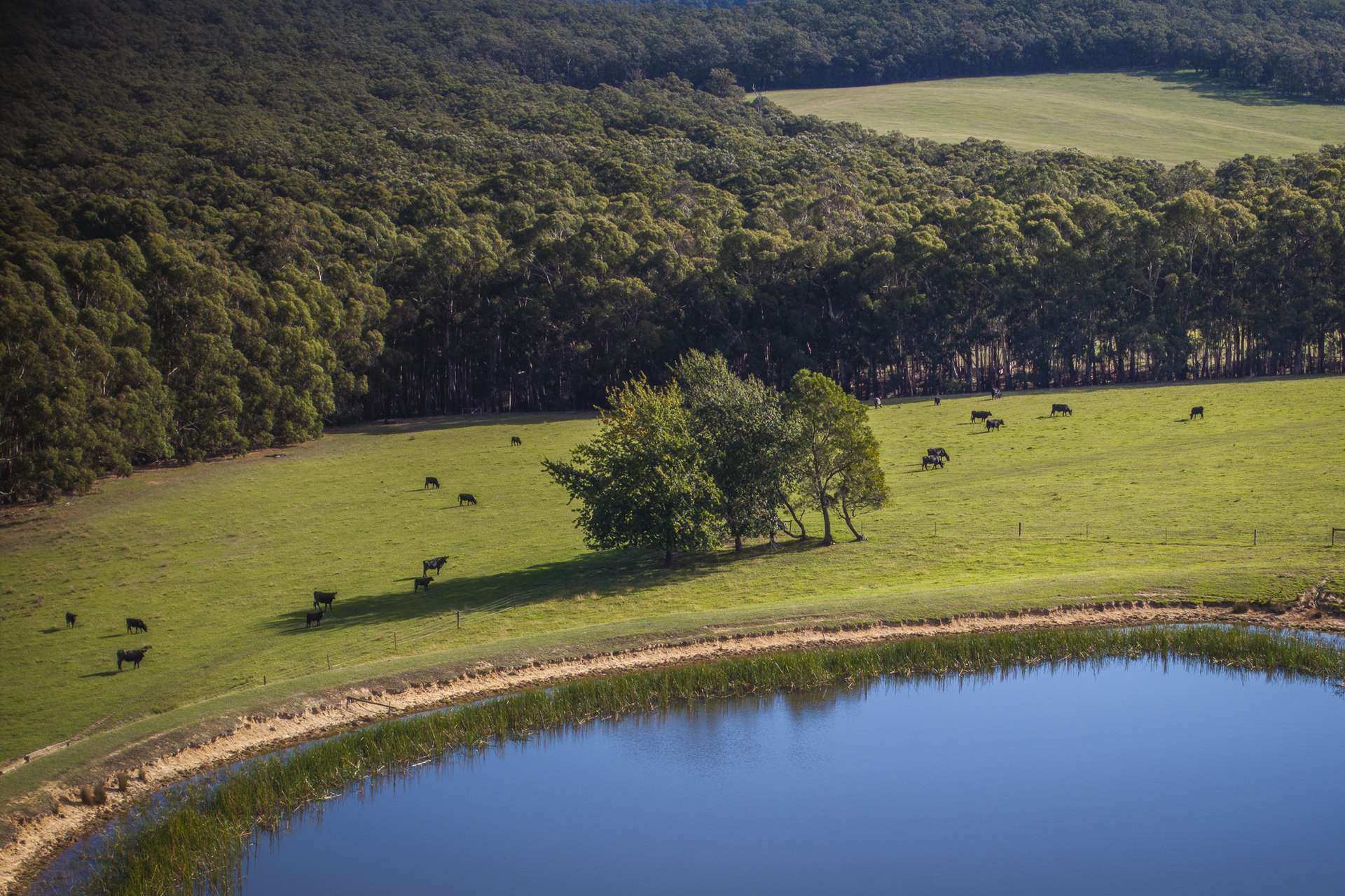 709 Mount Eliza Road, Kerrie For Sale by Farmbuy.com - image 30