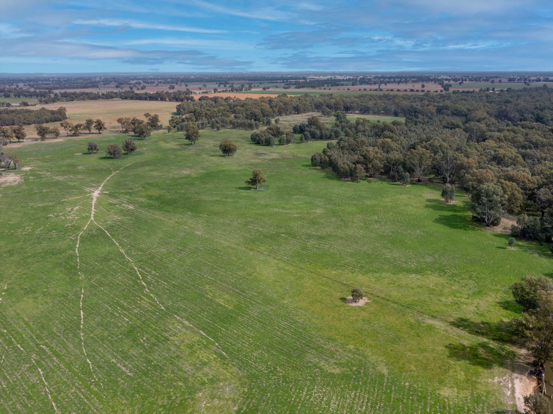 Lots 1-2 / 435 Paris Road, Brimin For Sale by Farmbuy.com - image 4