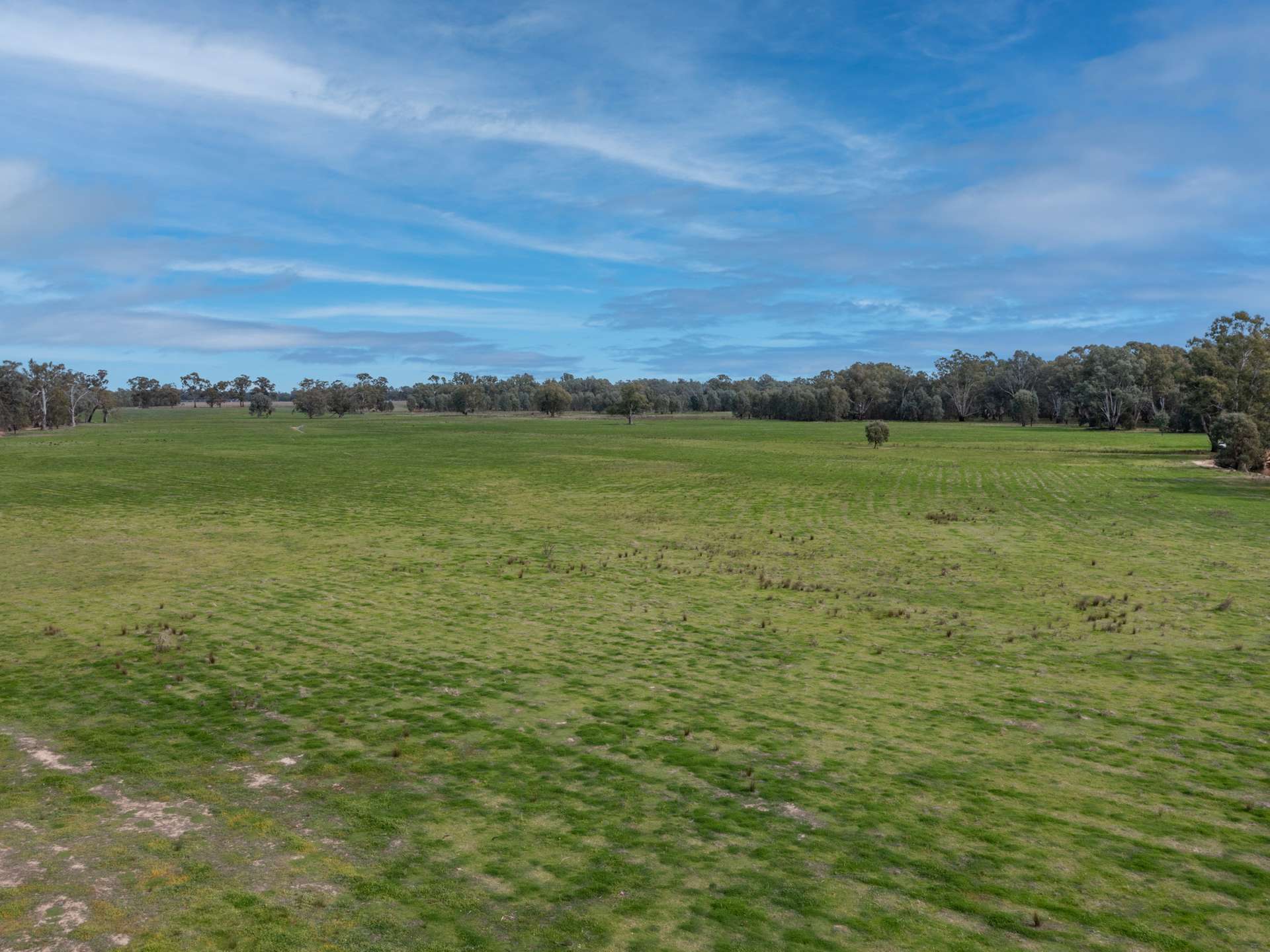 Lots 1-2 / 435 Paris Road, Brimin For Sale by Farmbuy.com - image 13