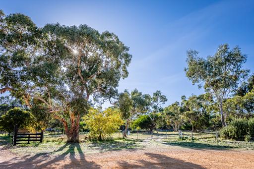 22 Mason Road, Naracoorte SA 5271