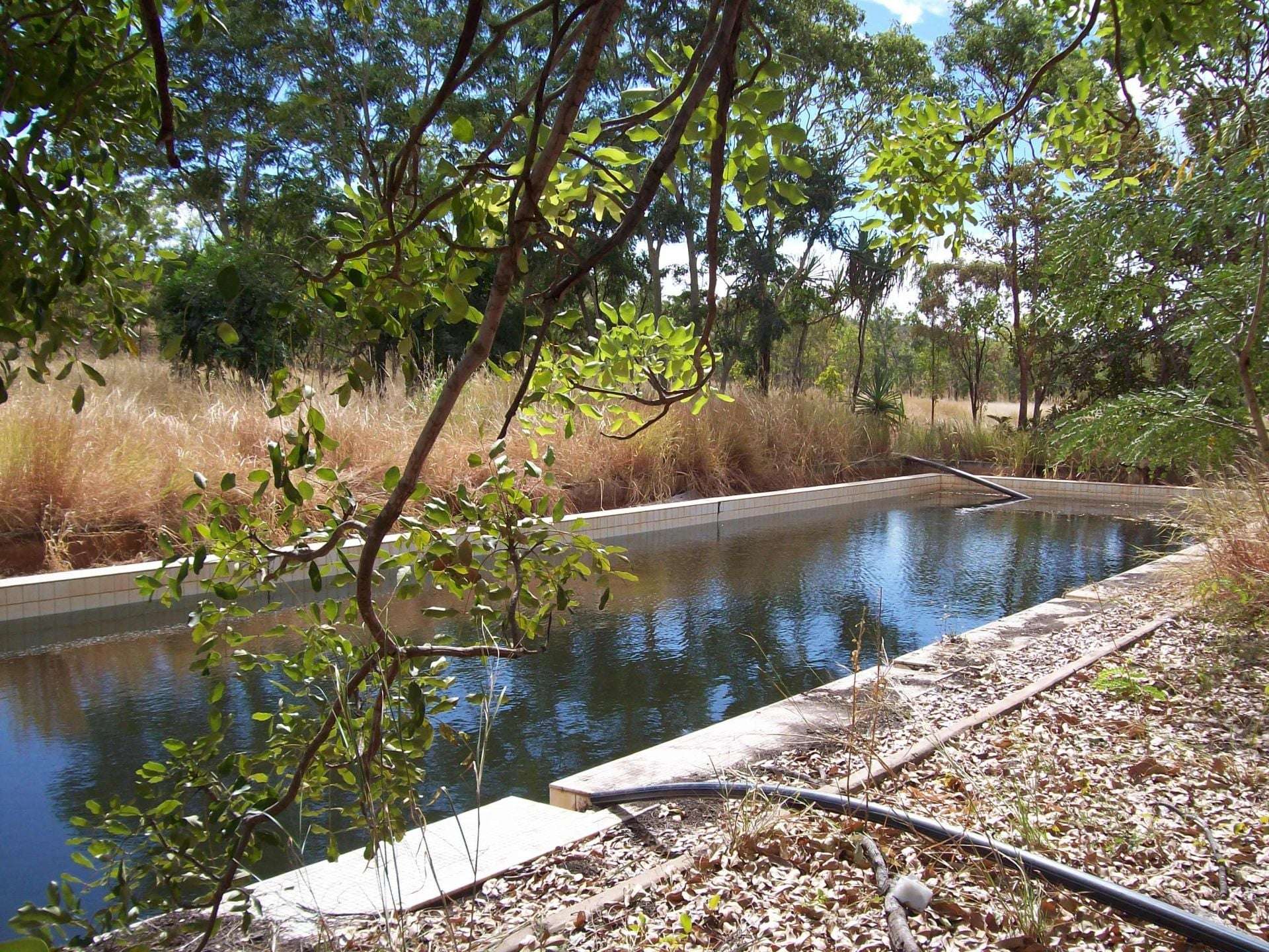 NT POR 3914 LTO 90/071 FRANCES CREEK ROAD, Douglas-daly For Sale by Farmbuy.com - image 5