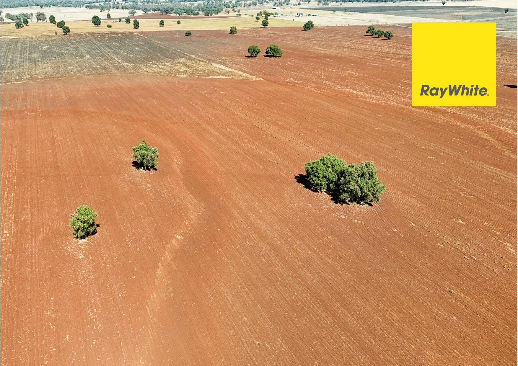 11 Delungra Bypass Road, Inverell For Sale by Farmbuy.com - image 6