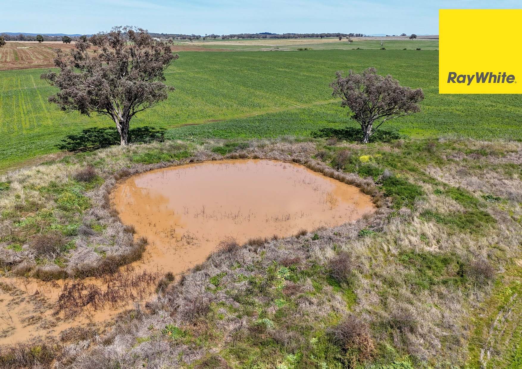 11 Delungra Bypass Road, Inverell For Sale by Farmbuy.com - image 10