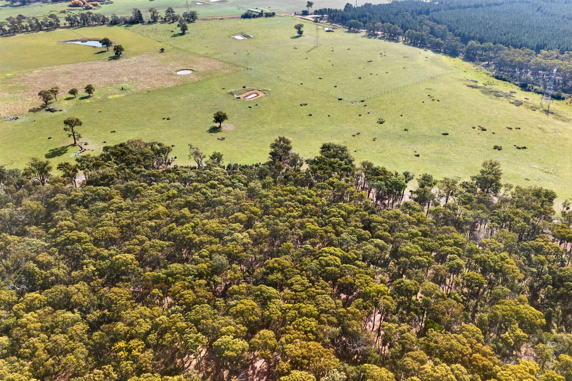 Maxfields Road, Flynns Creek For Sale by Farmbuy.com - image 7