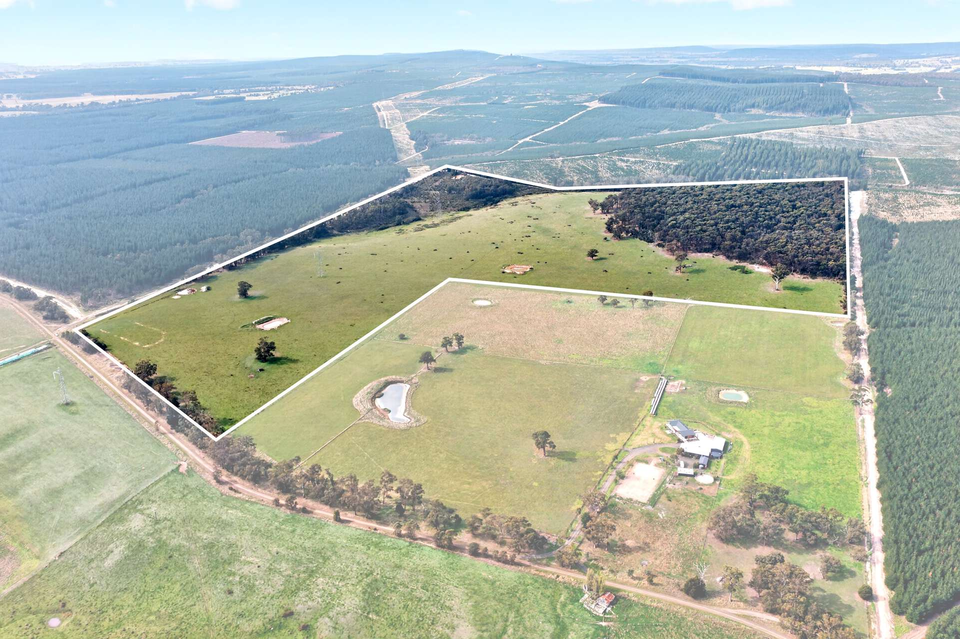 Maxfields Road, Flynns Creek For Sale by Farmbuy.com - image 5