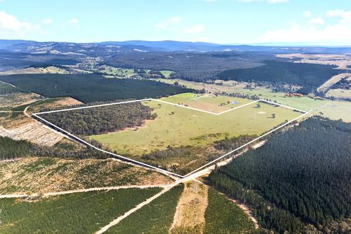 Maxfields Road, Flynns Creek VIC 3844