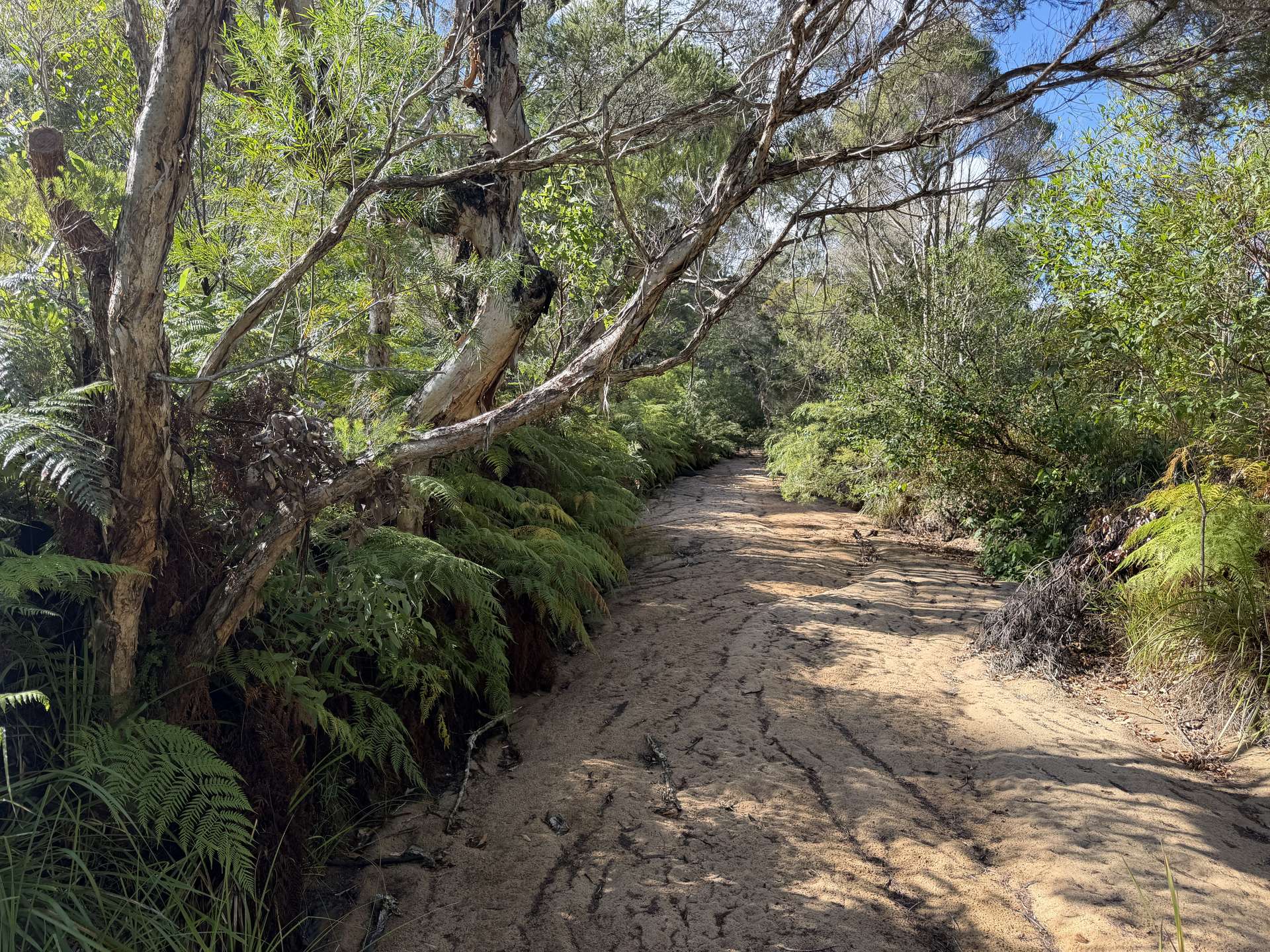 566 Middle Creek Road, Kremnos For Sale by Farmbuy.com - image 2