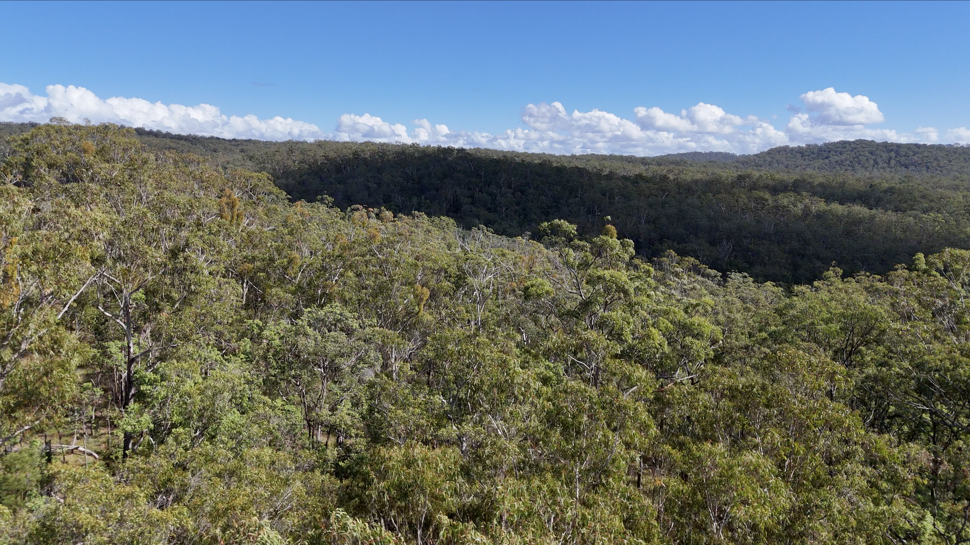 566 Middle Creek Road, Kremnos For Sale by Farmbuy.com - image 16