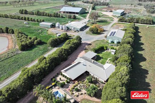 Farm For Sale - VIC - Echuca - 3564 - Scale, Water & Infrastructure | Improve, Operate or Reposition 
