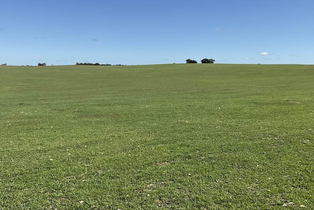 1682 Ladara Bore Road, Netherton SA 5301