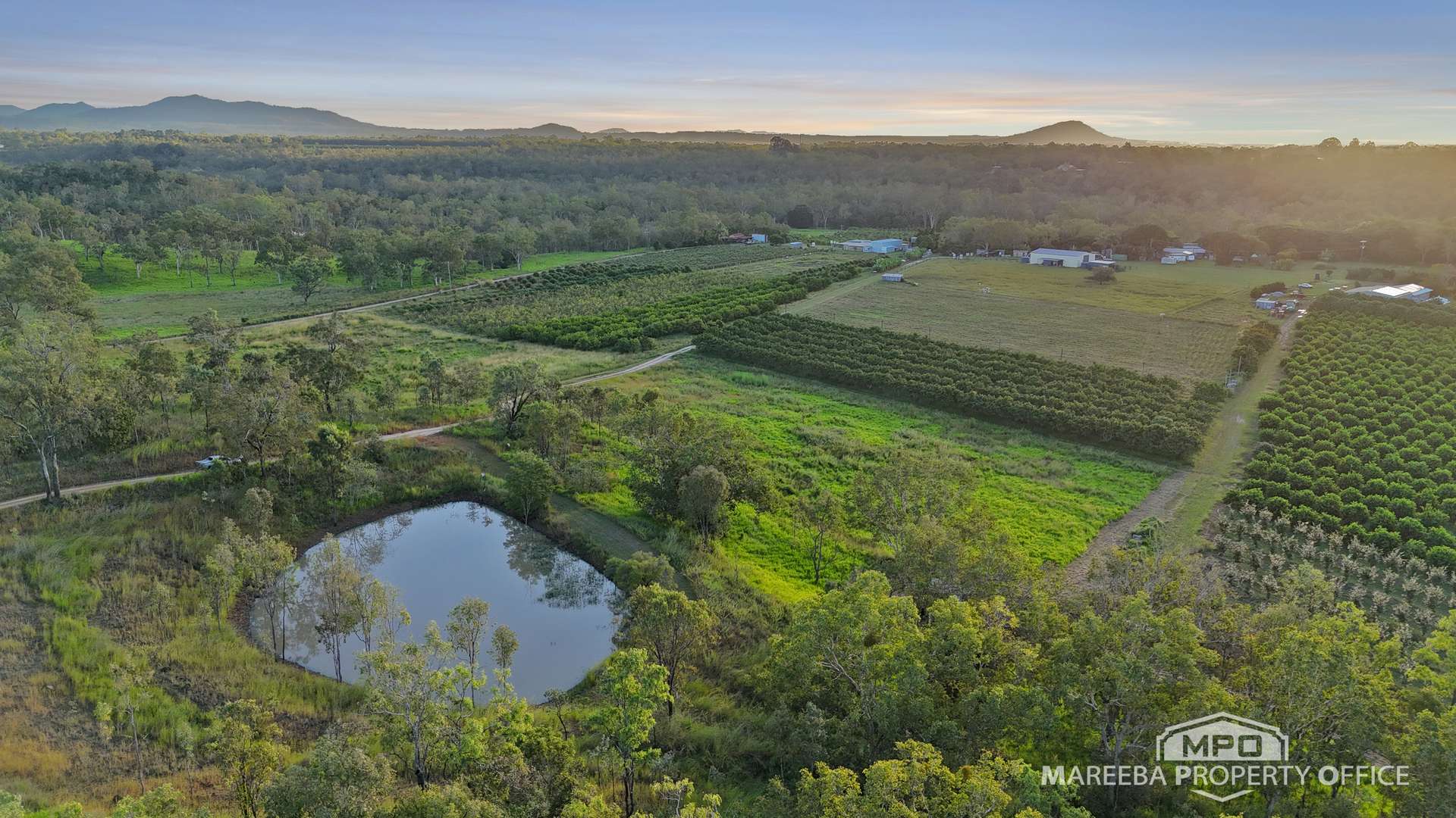 350 Fichera Road, Mareeba For Sale by Farmbuy.com - image 8