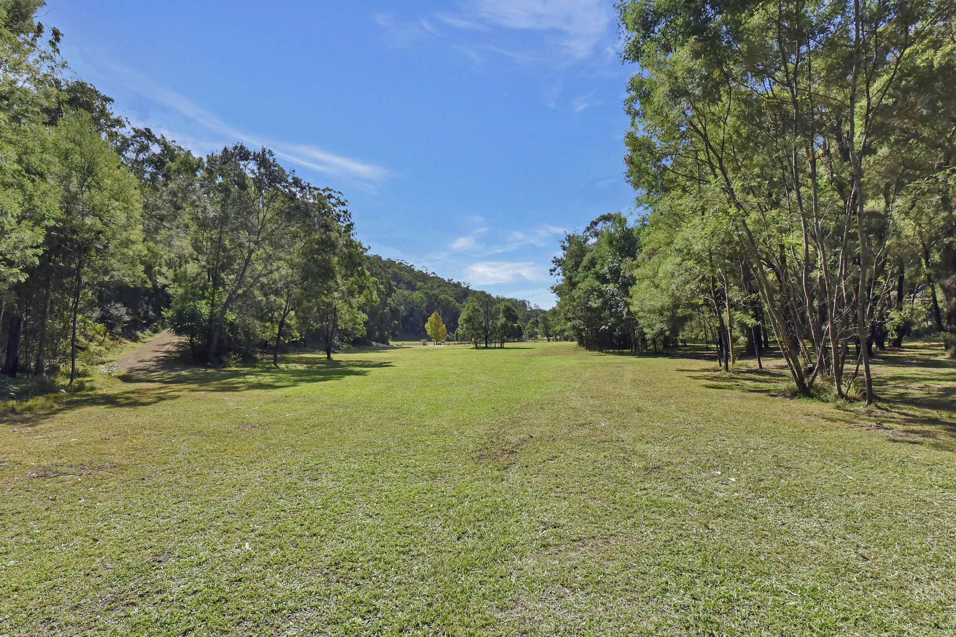540 Yango Creek Road, Laguna For Sale by Farmbuy.com - image 33