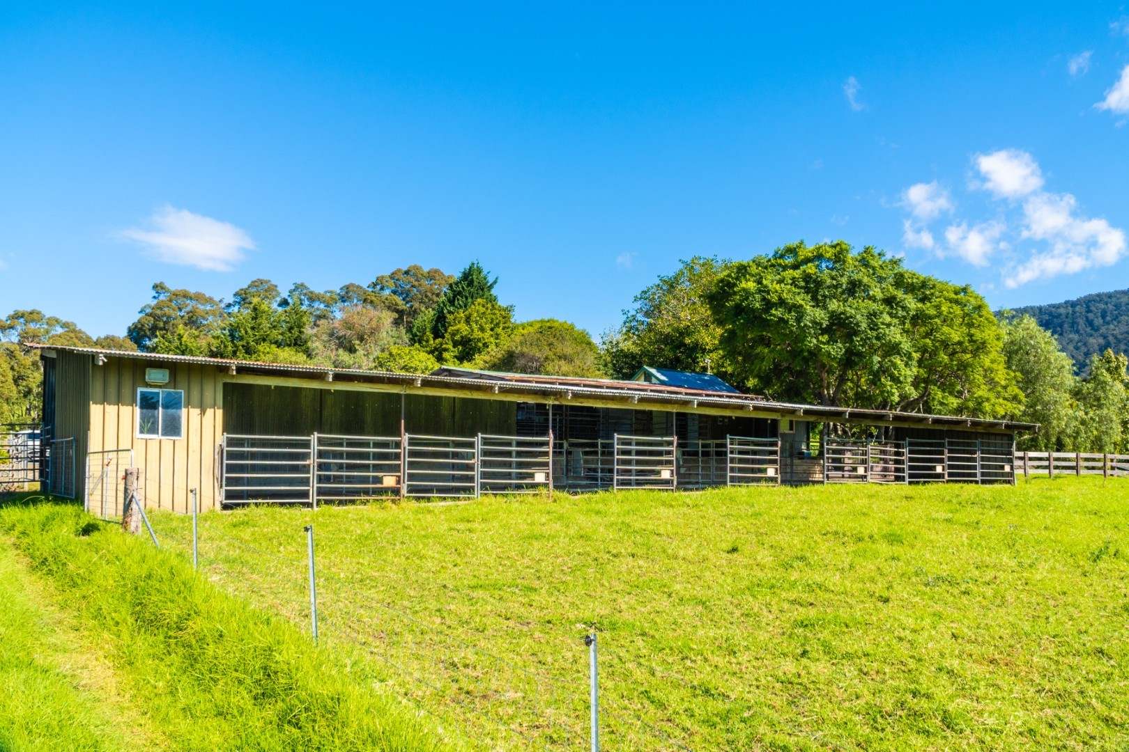 182 Punkalla-Tilba Road, Central Tilba Auction by Farmbuy.com - image 31