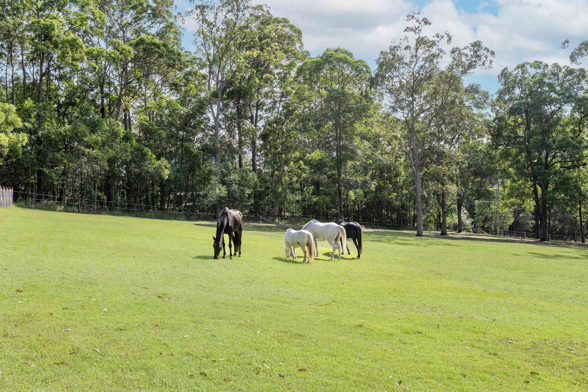 40 Ferguson Road, Pomona For Sale by Farmbuy.com - image 2