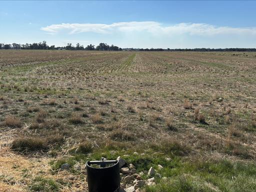Lot 2 Koondrook-Murrabit Road&comma;, Koondrook VIC 3580