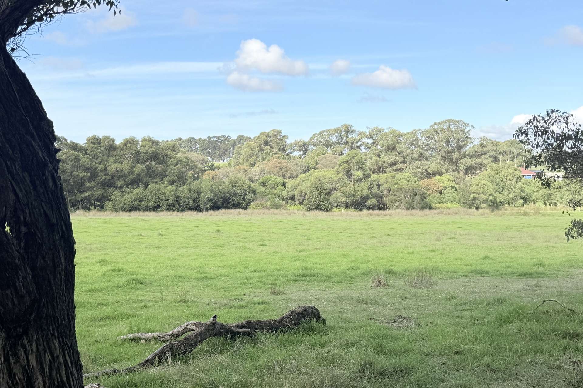 Lot 135, 238 Link Road, Marbelup For Sale by Farmbuy.com - image 9