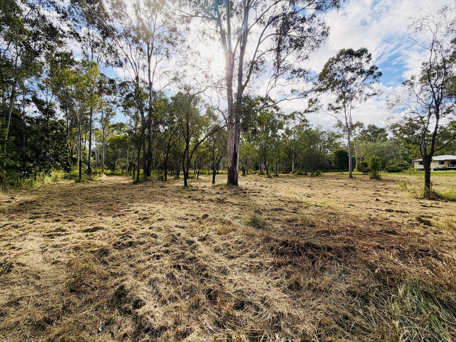 9 Gentle Annie Road, Apple Tree Creek For Sale by Farmbuy.com - image 8