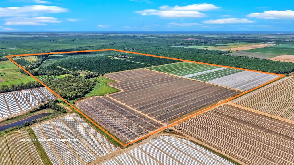 195 Pashleys Road, Welcome Creek QLD 4670