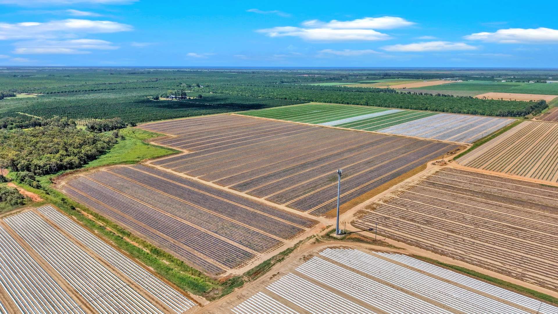 195 Pashleys Road, Welcome Creek For Sale by Farmbuy.com - image 17
