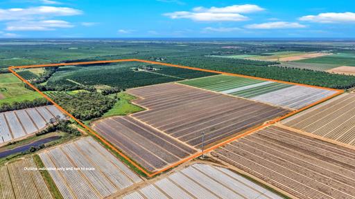 Farm For Sale - QLD - Welcome Creek - 4670 - MACADAMIA PLANATATION - HIGHLY SOUGHT AFTER AREA 
