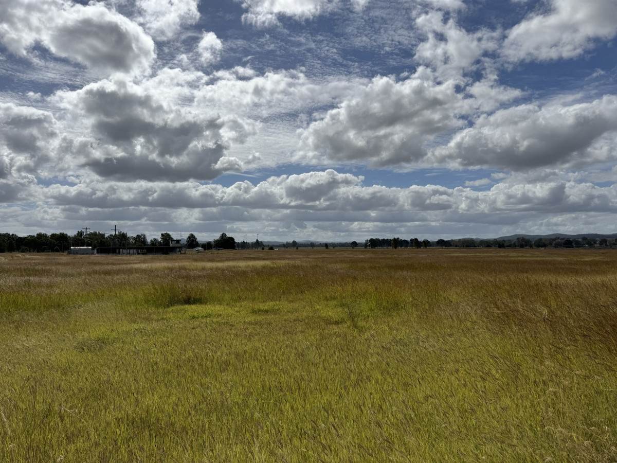 Lot 2, 375 Airport Road, Monto For Sale by Farmbuy.com - image 10
