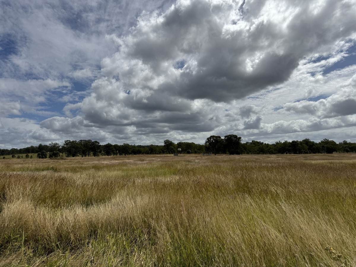 Lot 2, 375 Airport Road, Monto For Sale by Farmbuy.com - image 11