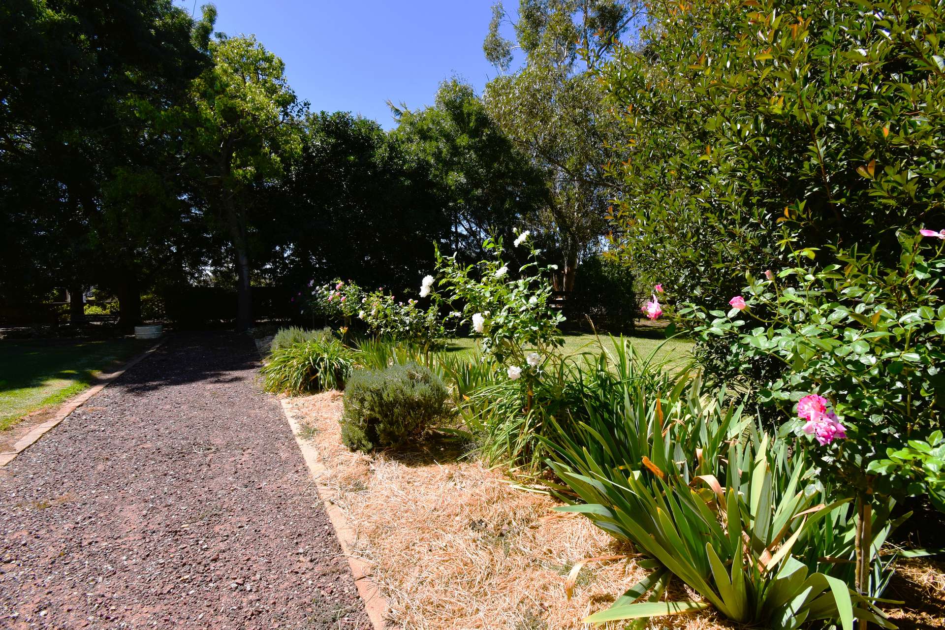 "Parkside" 679 Adelargo Road, Grenfell For Sale by Farmbuy.com - image 22