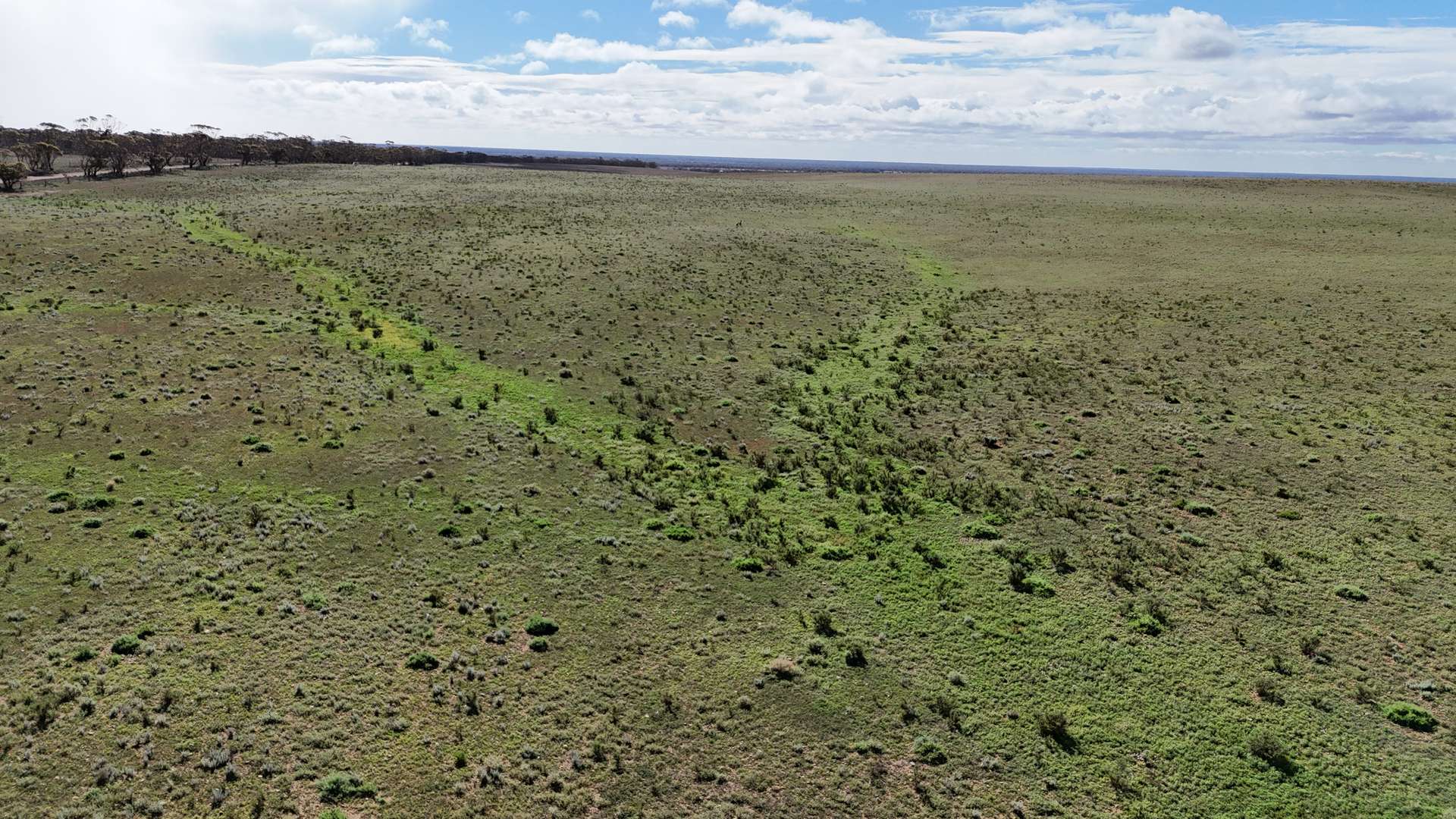 Lot 60 Sutherlands Road, Bower For Sale by Farmbuy.com - image 10