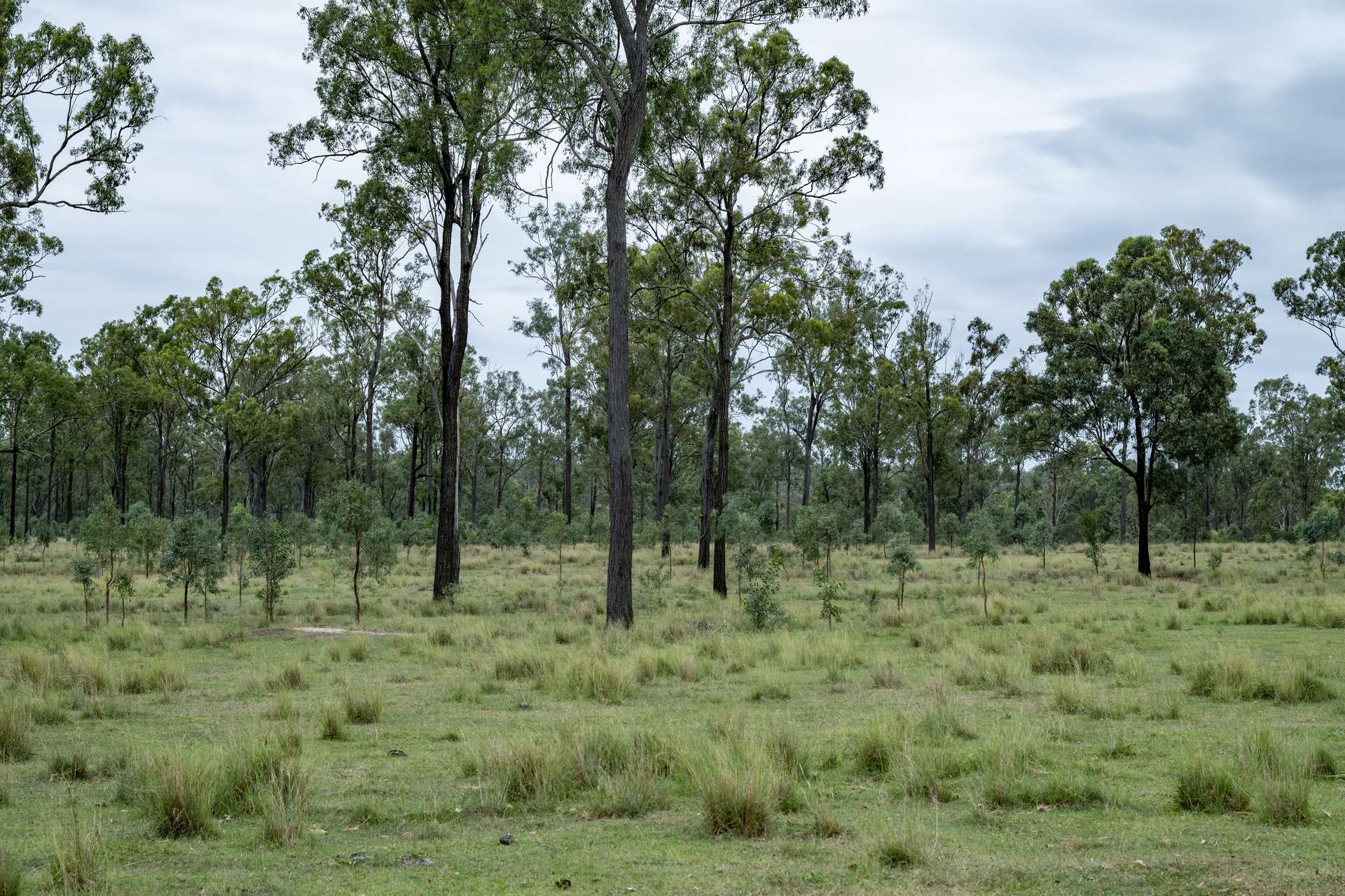 Lot 254,  Nanango - Brooklands Road, Nanango For Sale by Farmbuy.com - image 4